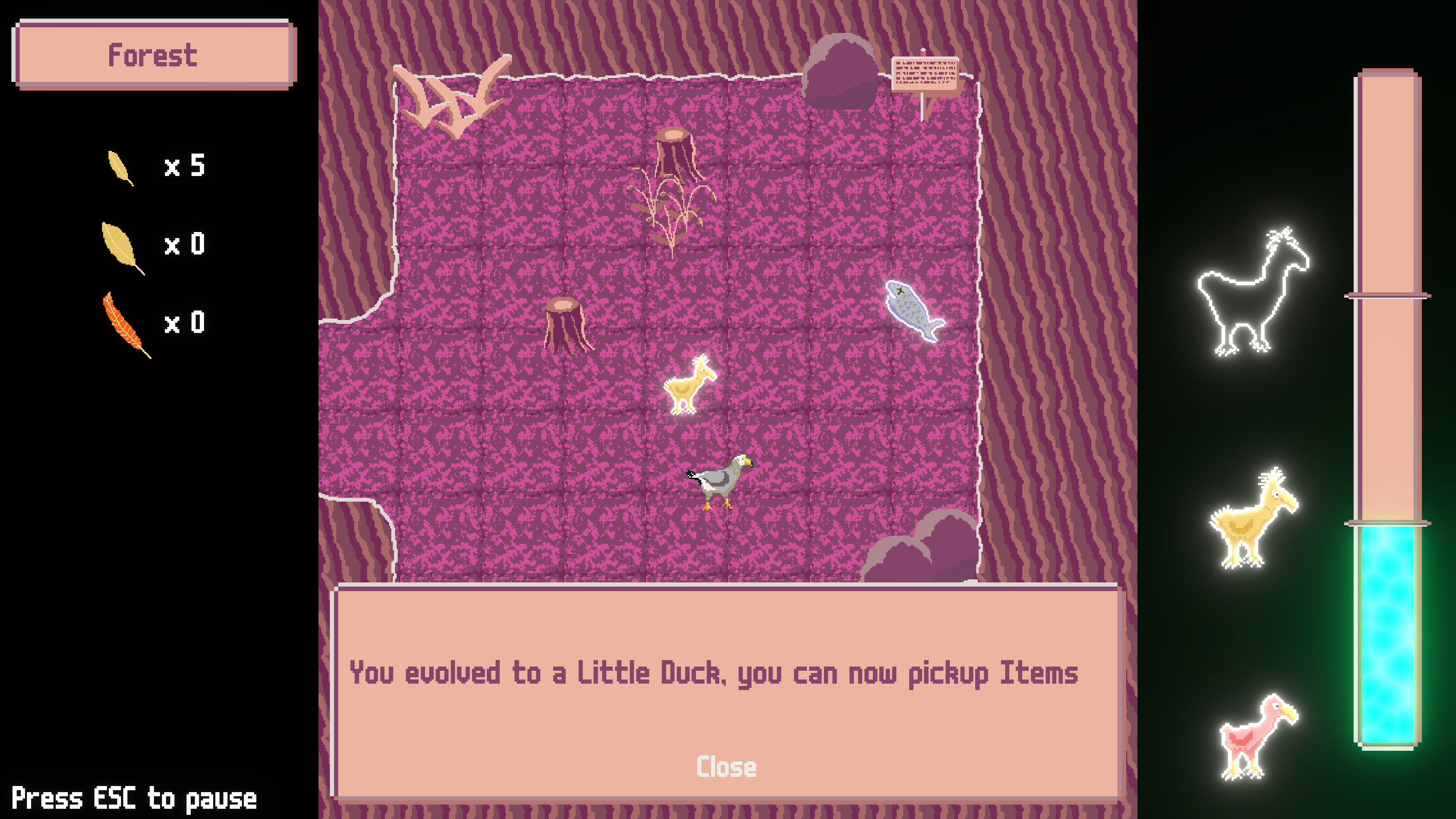Duck Island ingame screenshot